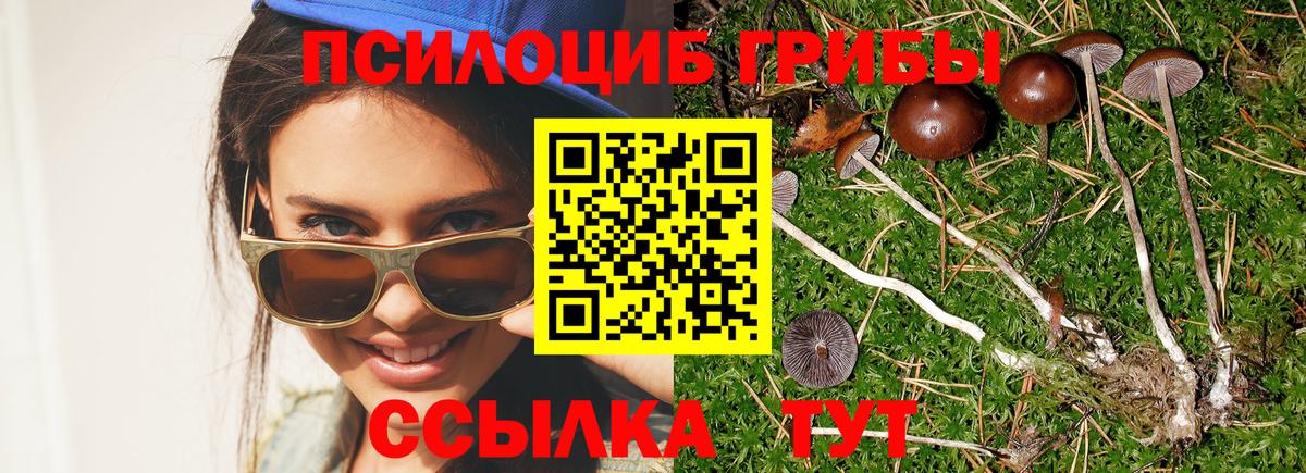Псилоцибиновые грибы MAGIC MUSHROOMS  Вход с VPN  Холмск 